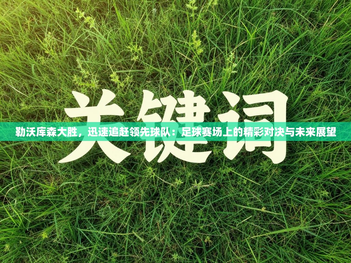 勒沃库森大胜,迅速追赶领先球队:足球赛场上的精彩对决与未来展望 第1张