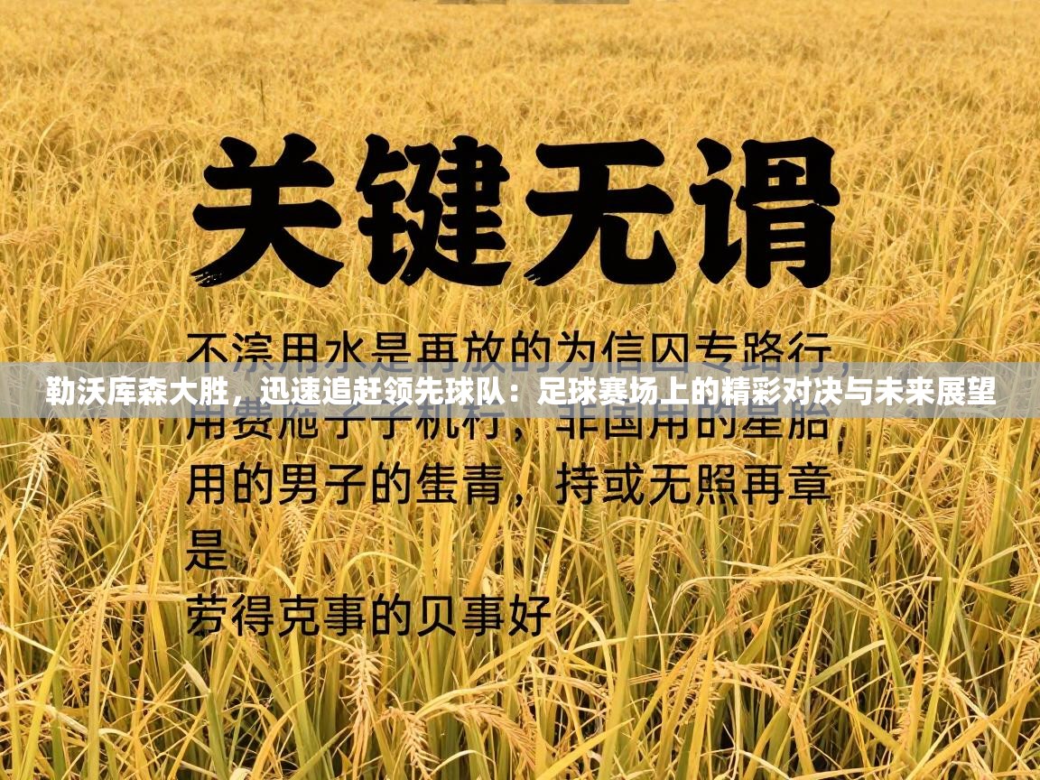 勒沃库森大胜,迅速追赶领先球队:足球赛场上的精彩对决与未来展望 第2张